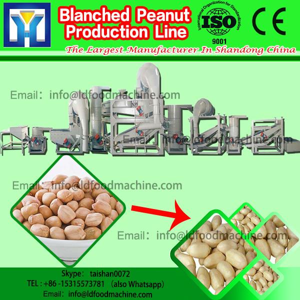 reliable quality manufacture for blanched peanut CE ISO approved