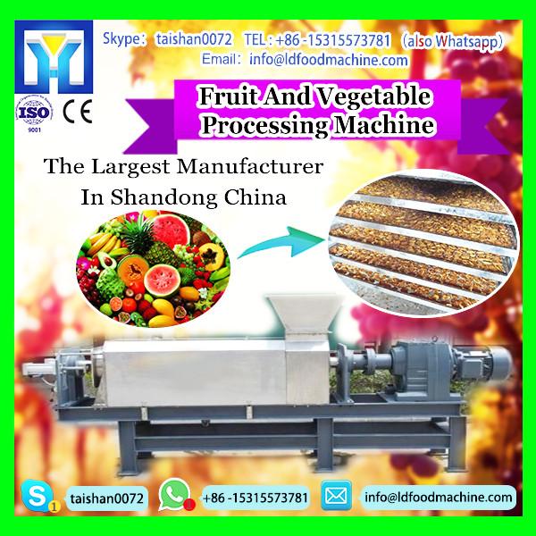 China Hot Sale French Fries machinery Price