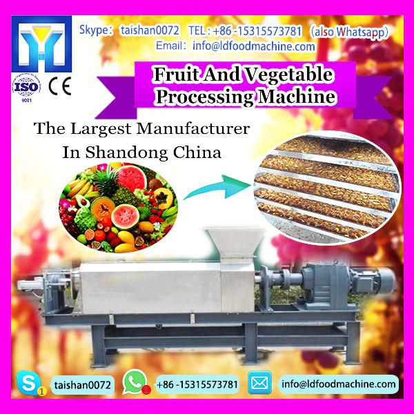 Top Commercial Vegetable Washer Date Washing Dryer machinery Line