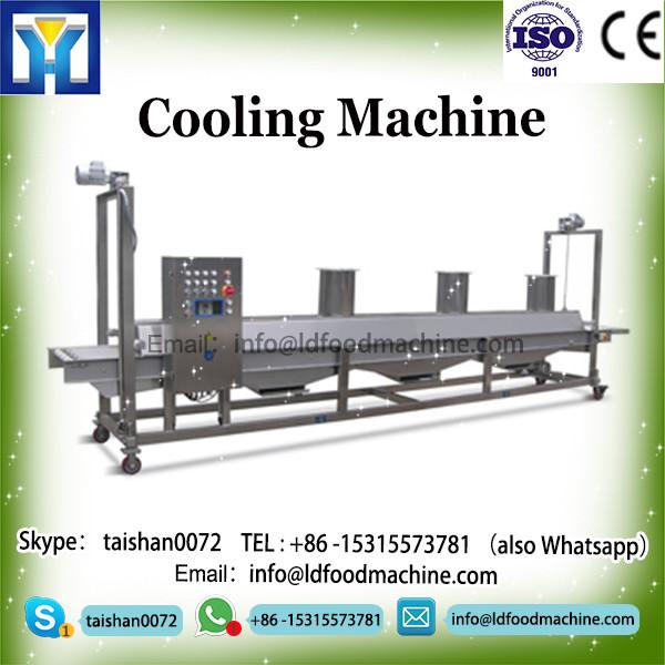 High quantity Low deposit Pyramidal tea bagpackmachinery