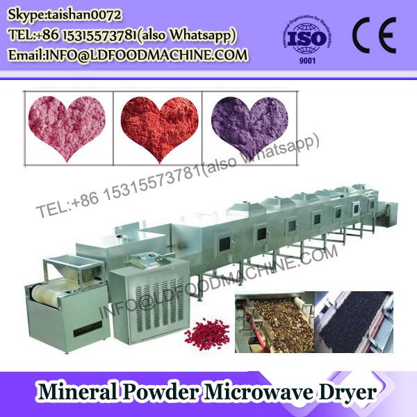 CE Approved Microwave Tunnel Dryer