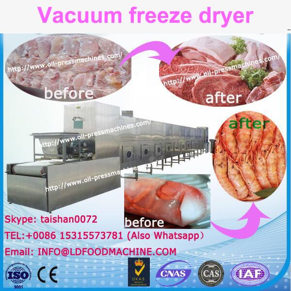 Heat sensitive industrial dryer